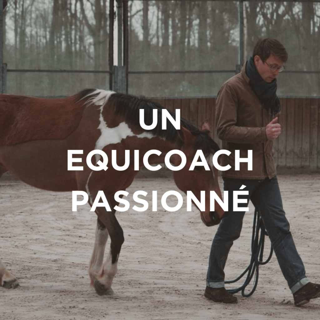 pour qui est l'equicoaching ?