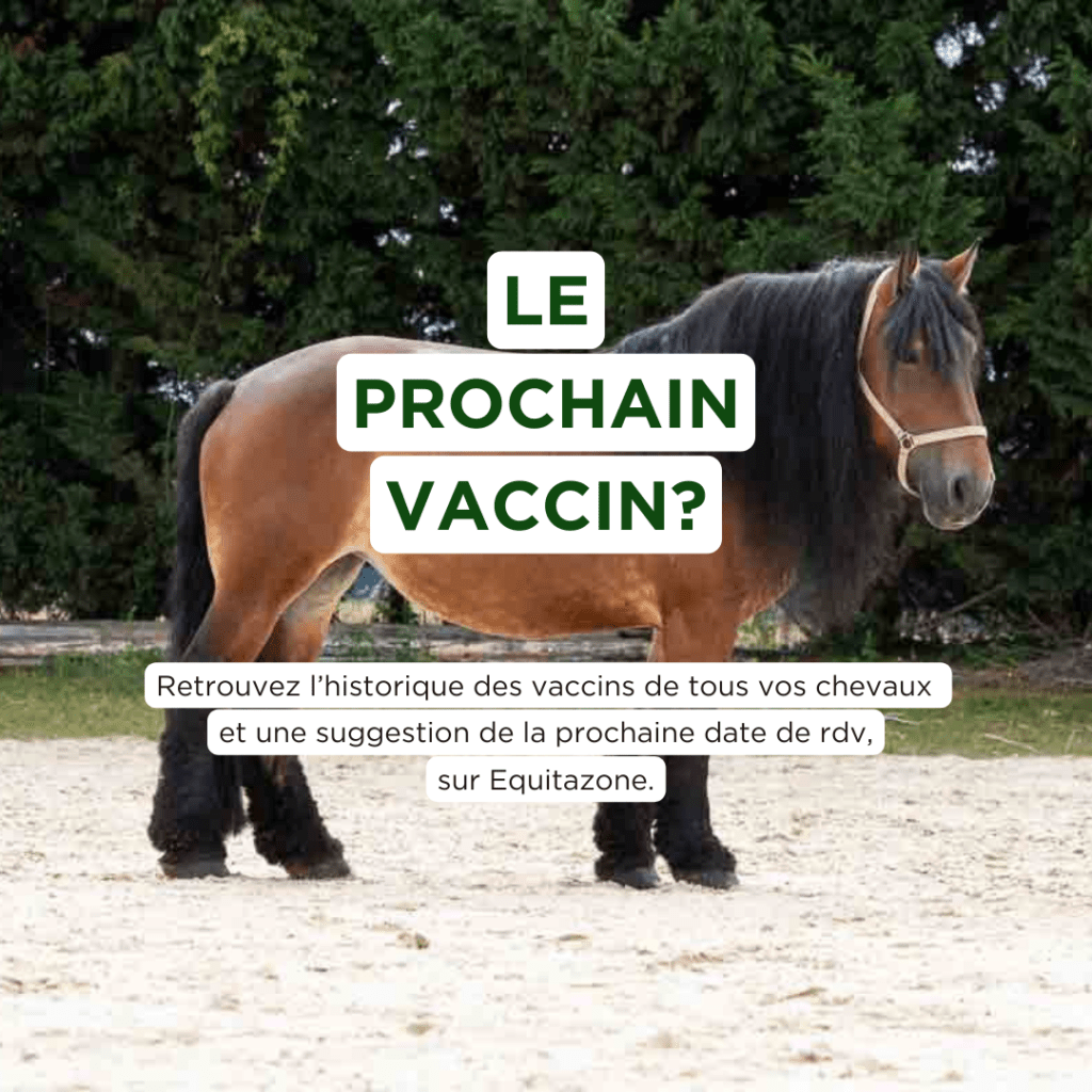 prochain vaccin cheval rappel automatique